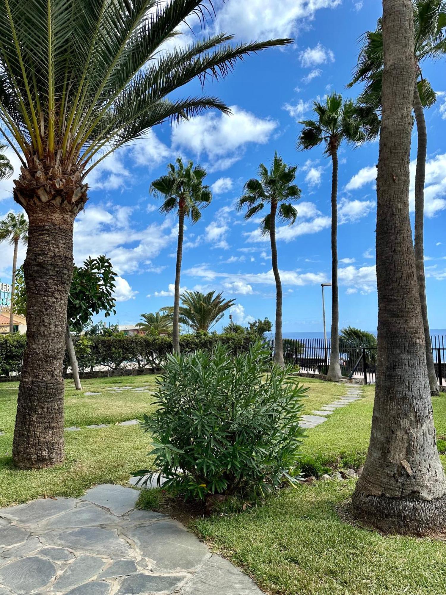 Arpones 15 * San Bartolome de Tirajana (Gran Canaria)